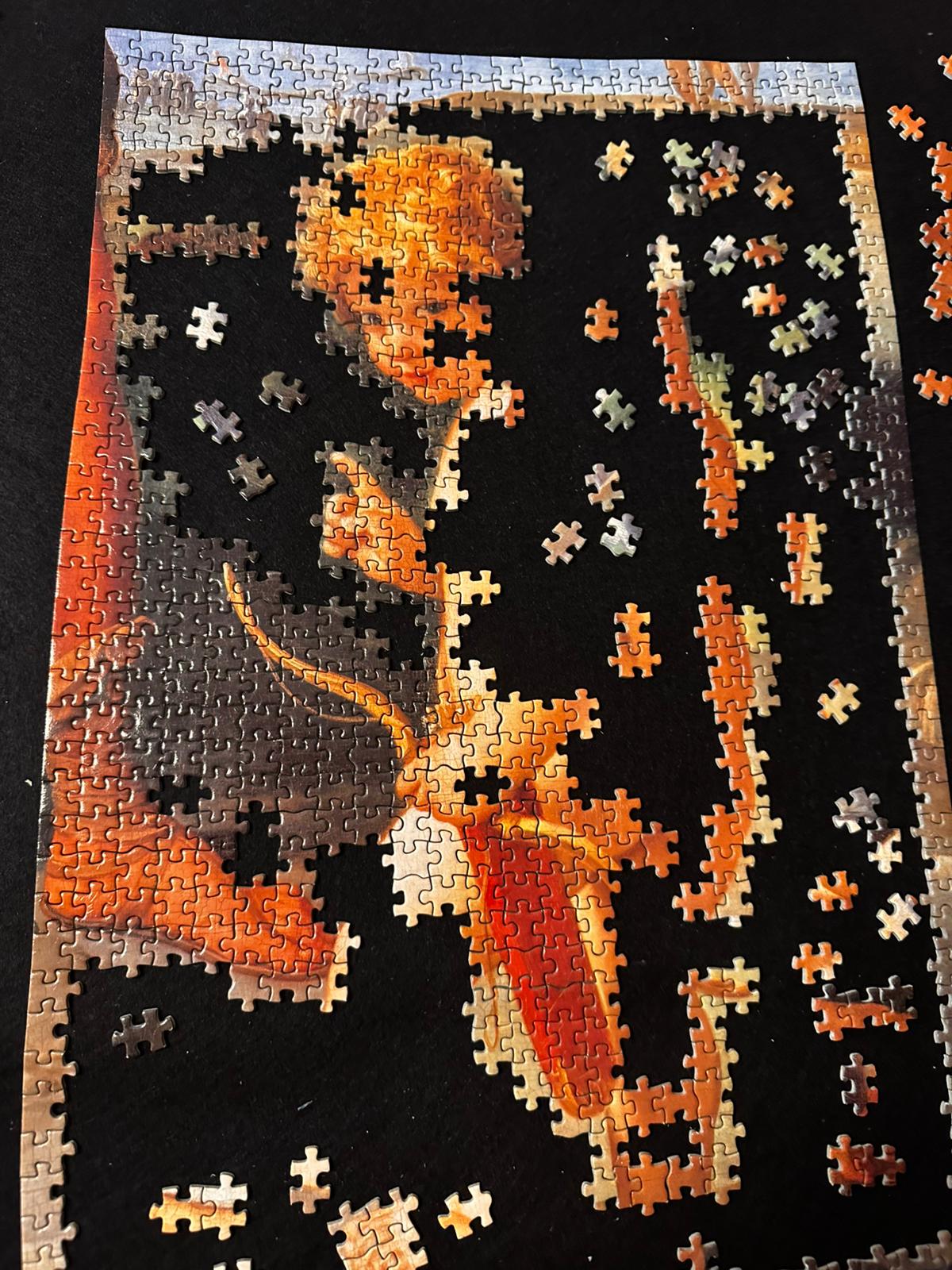 A jigsaw puzzle in progress